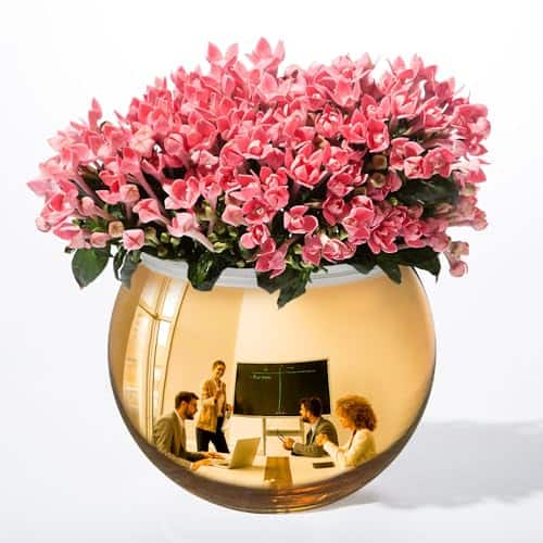 Pacoar Cade - Cubicle Mirror To See Behind You Convex Safety For Desk Office Rear View Monitoring Personal Security Computer Pc - Gold