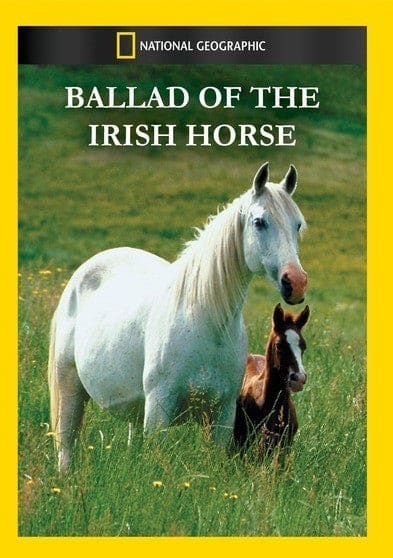 Ballad of the Irish Horse - DVD