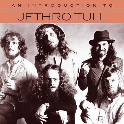 AN INTRODUCTION TO  
JETHRO TULL