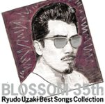 Front Standard. Blossom 35th/Best Songs Collection [CD].