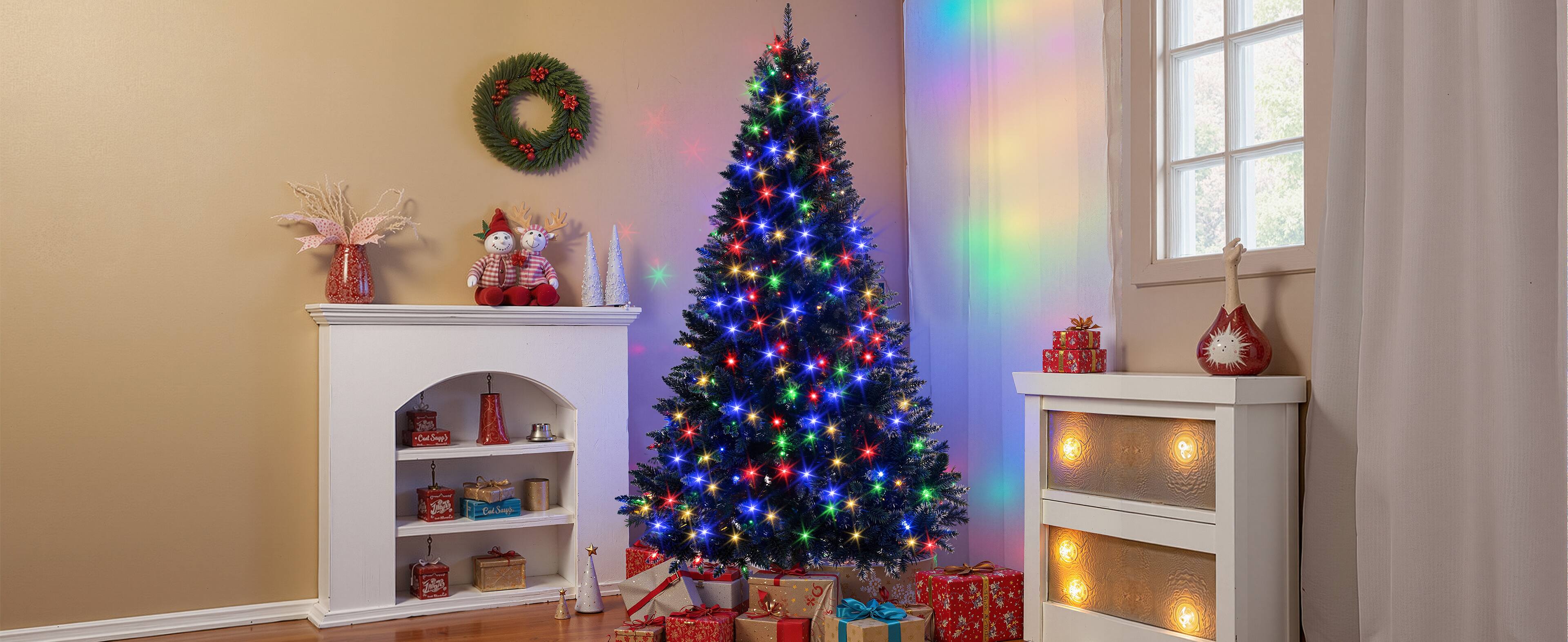 ZOSN NERB Cal o 35 Pa C