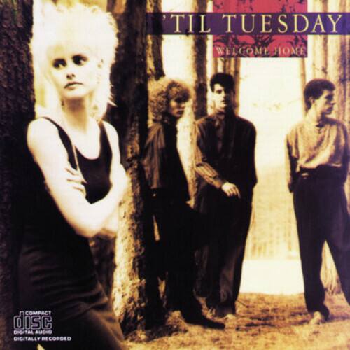 'Til Tuesday - Welcome Home   - COMPACT DISCS [CD] price history on PriceWatchPro