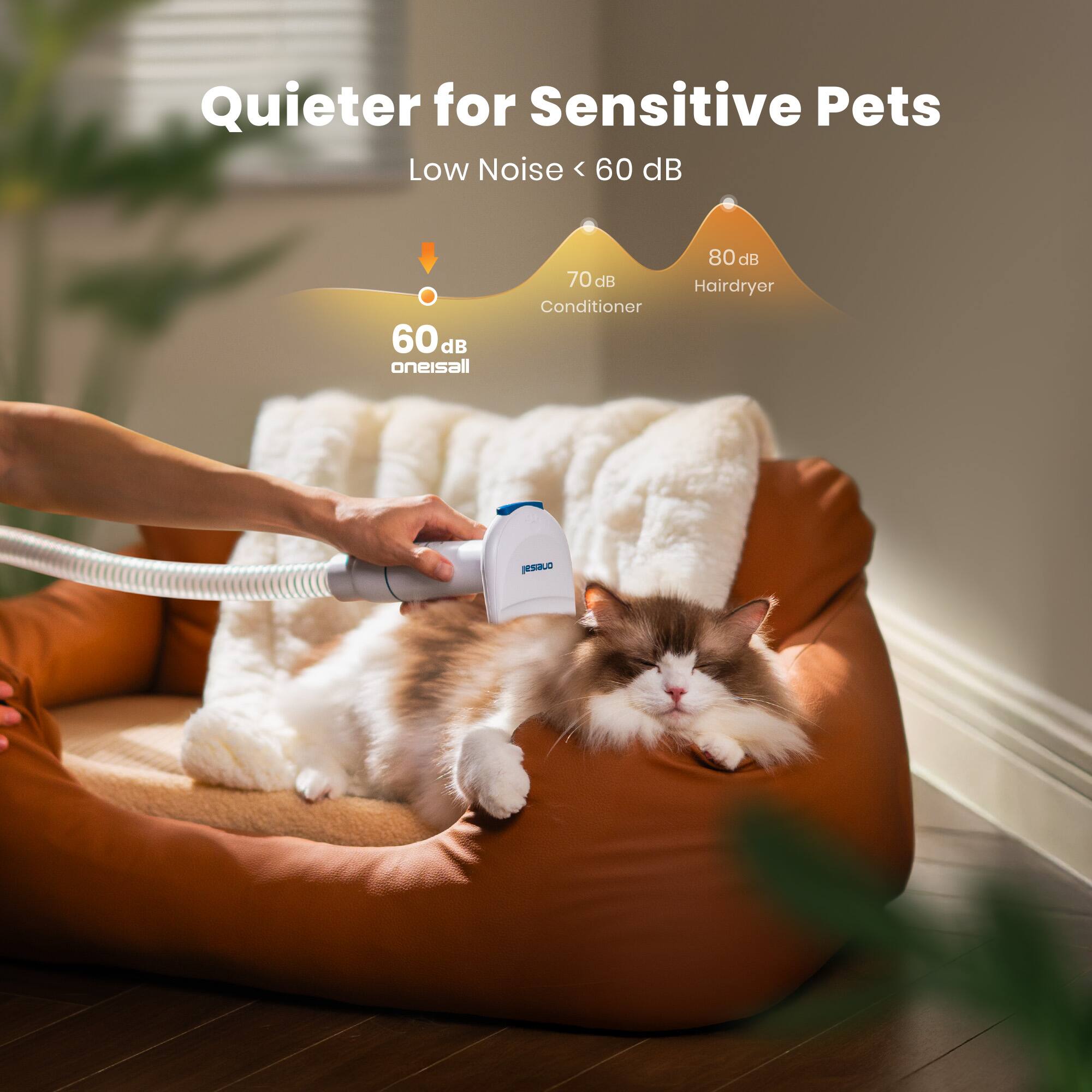 Quieter for Sensitive Pets  
Low Noise < 60 dB  
60 dB oneisall  
70 dB Conditioner  
80 dB Hairdryer