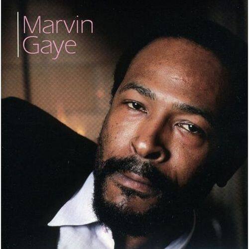 Best Buy Marvin Gaye Legacy Cd 4845