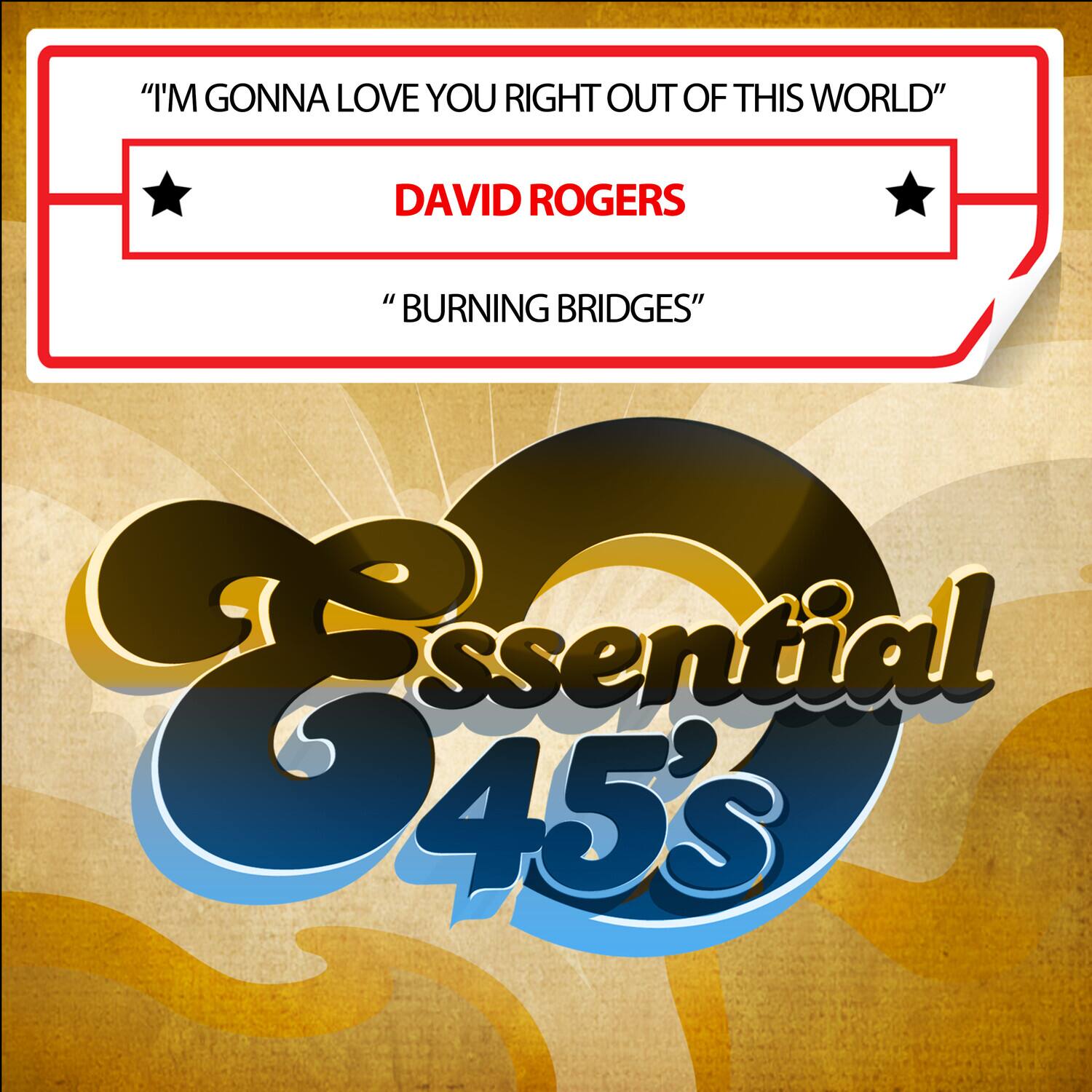 "I'M GONNA LOVE YOU RIGHT OUT OF THIS WORLD"  
DAVID ROGERS  
"BURNING BRIDGES"  

Essential 45's