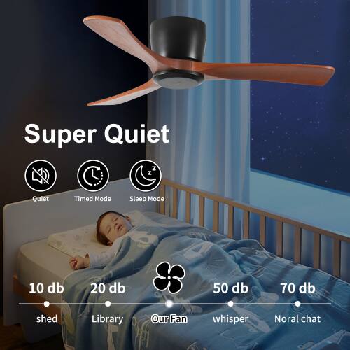 Super Quiet  
Quiet  
Timed Mode  
Sleep Mode  
10 db  
20 db  
50 db  
70 db  
shed  
Library  
Our Fan  
whisper  
Normal chat