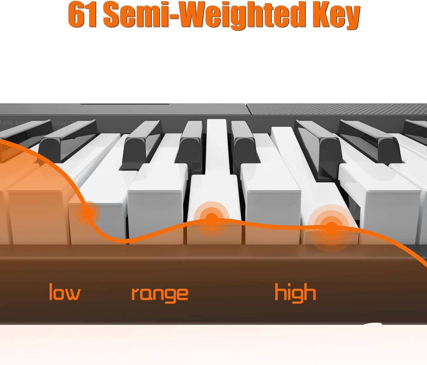 61 Semi-Weighted Key

low range high