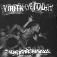 Break Down the Walls [LP] - VINYL - Front_Original