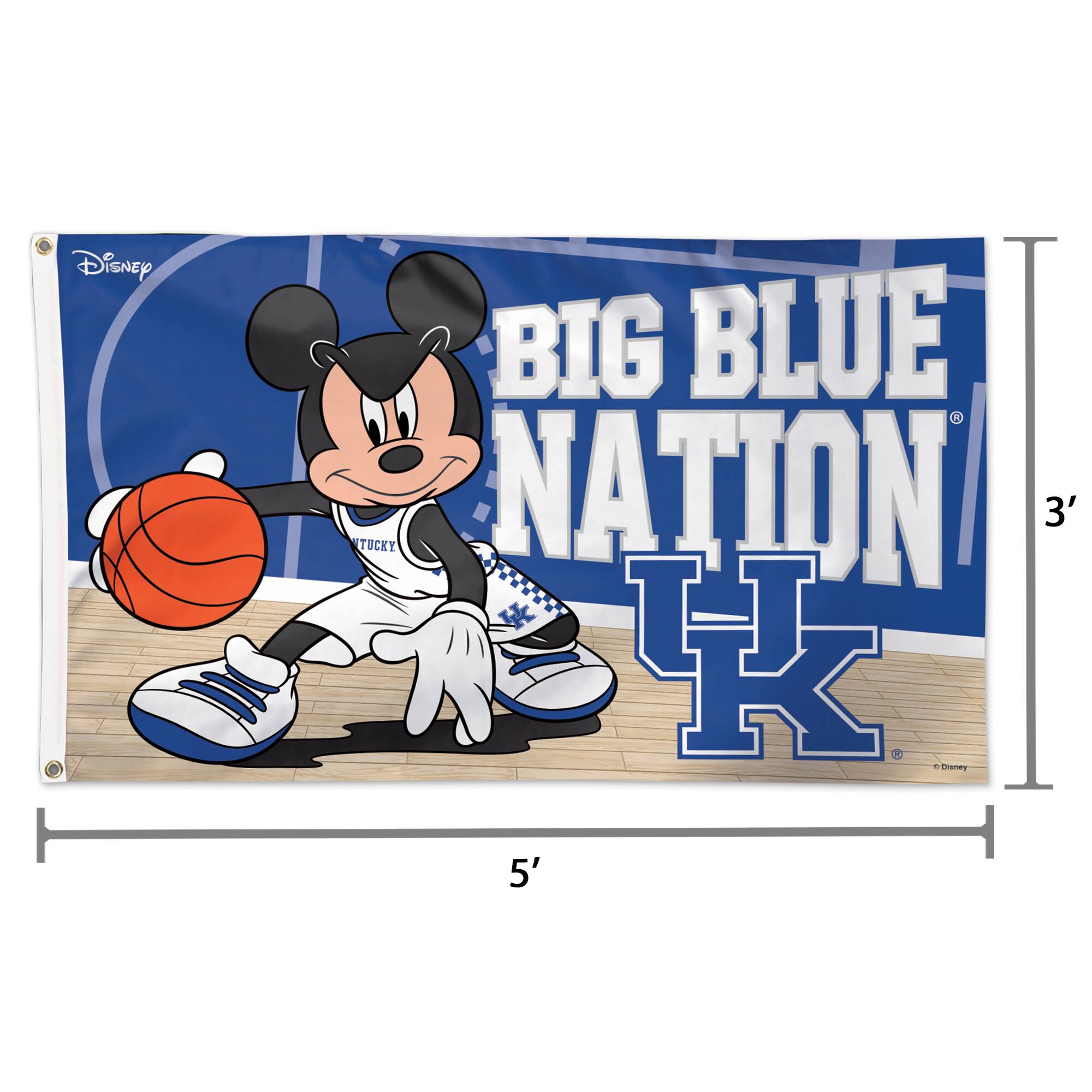 Disney BIG BLUE NATION 3' x 5'