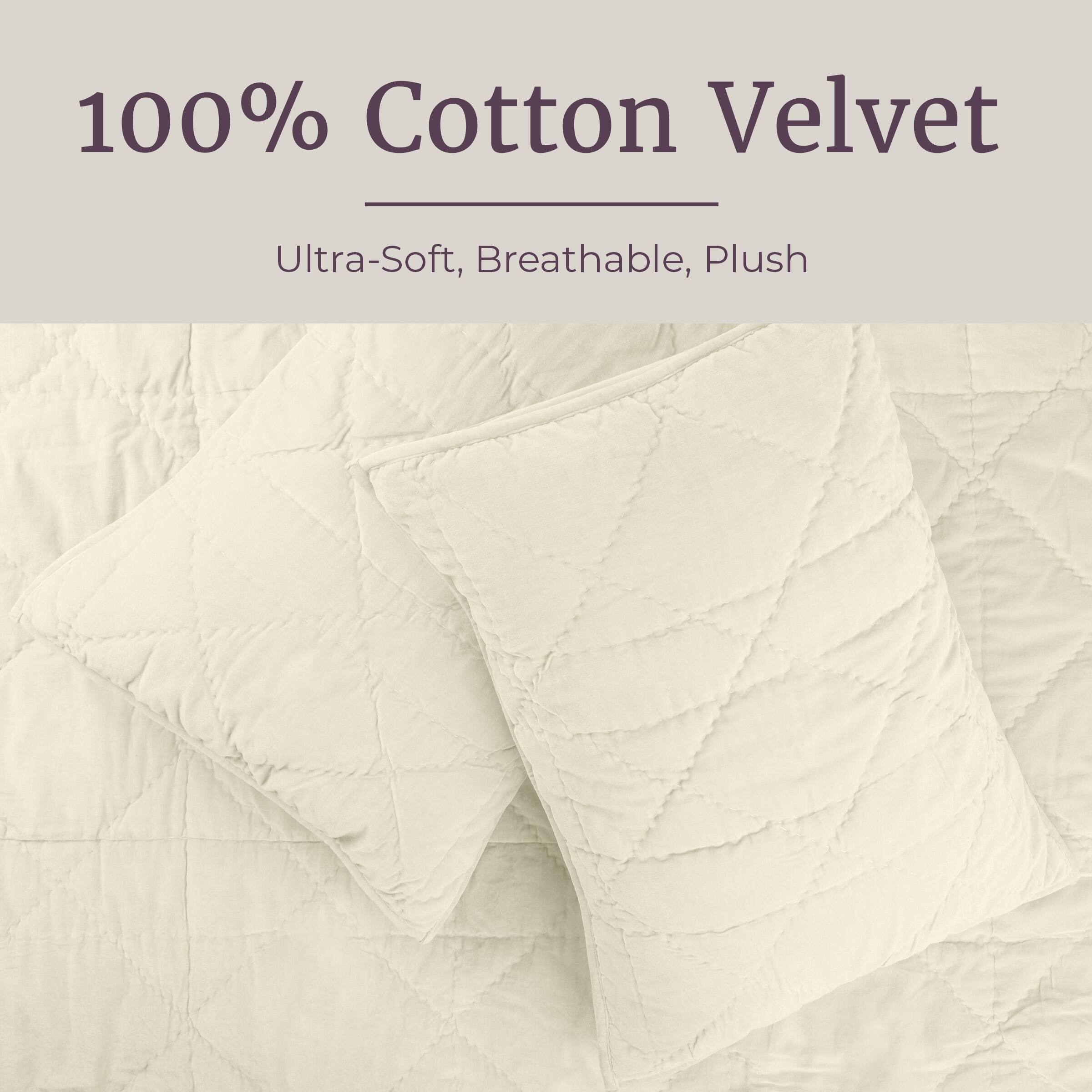 100% Cotton Velvet  
Ultra-Soft, Breathable, Plush