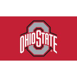 Evergreen Enterprises - Ohio State Buckeyes 28" x 16" Turf Mat - Multicolor