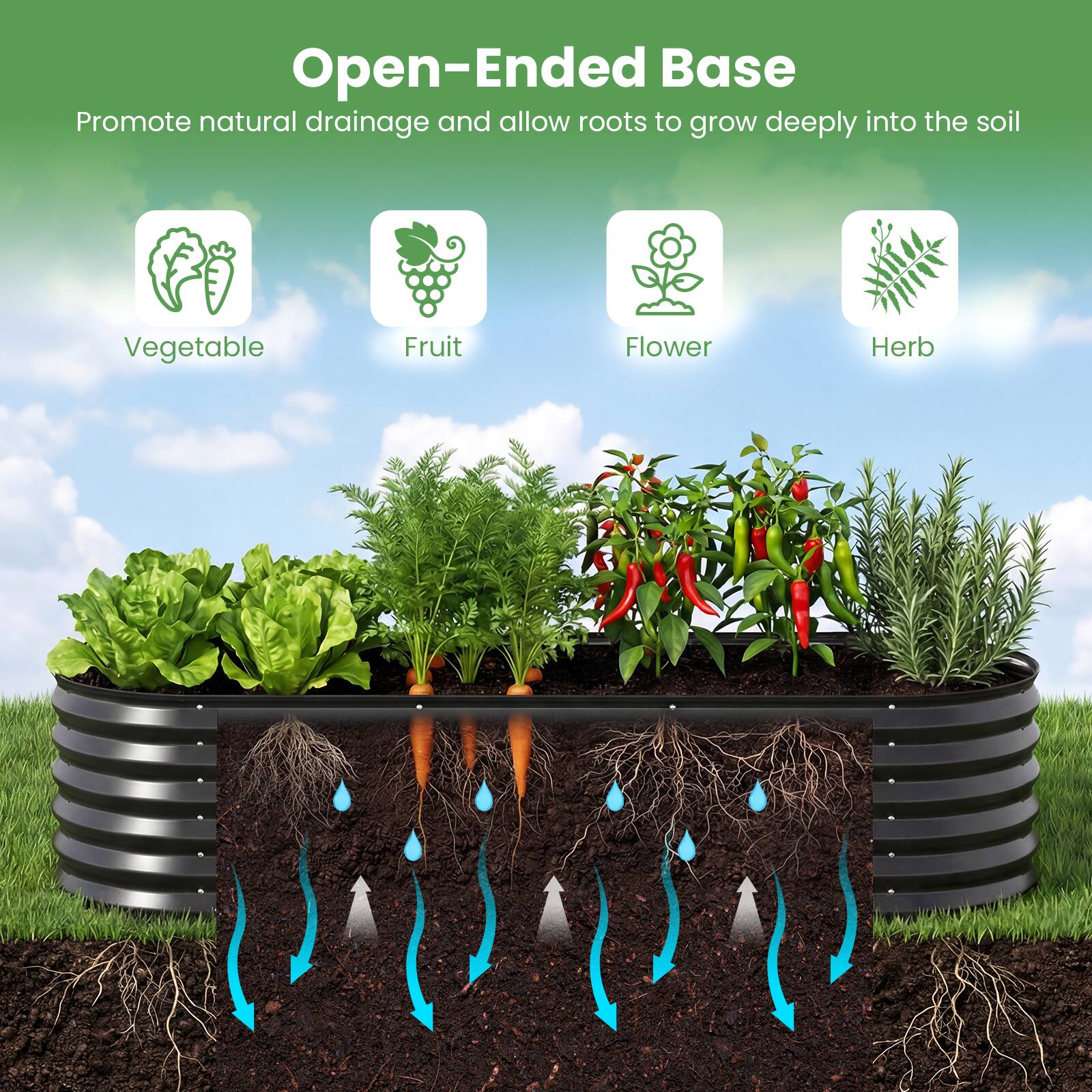 Open-Ended Base  
Promote natural drainage and allow roots to grow deeply into the soil  

Vegetable  
Fruit  
Flower  
Herb