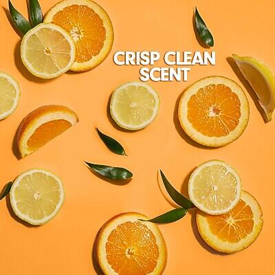 CRISP CLEAN SCENT