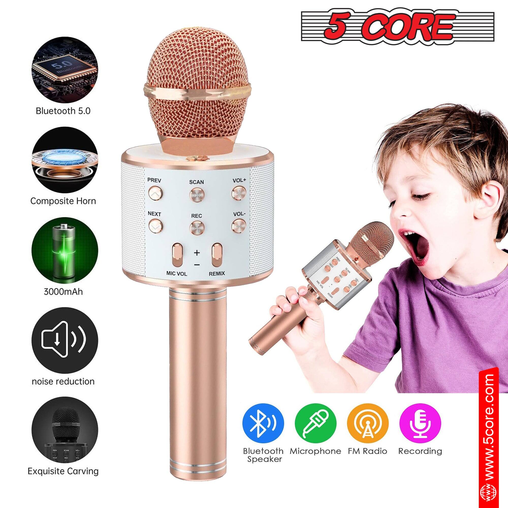 5.0 5 CORE Bluetooth 5.0 PREV SCAN VOL+ Composite Horn NEXT REC VOL- + I MIC VOL REMIX 3000mAh 1 noise reduction Exquisite Carving E Bluetooth Microphone FM Radio Recording Speaker www.5core.com