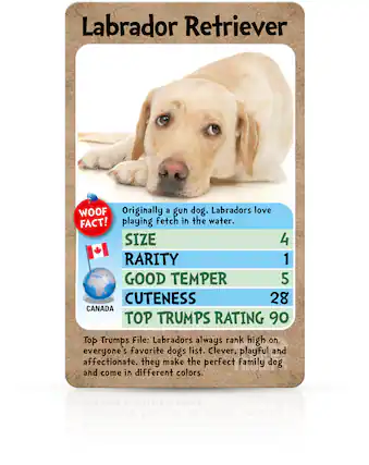 Labrador Retriever
WOOF FACT! Originally a gun dog, Labradors love playing fetch in the water.
SIZE 4
RARITY 1
GOOD TEMPER 5
CUTENESS 28
CANADA
TOP TRUMPS RATING 90
Top Trumps File: Labradors always rank high on everyone's favorite dogs list. Clever, playful and affectionate, they make the perfect family dog and come in different colors.