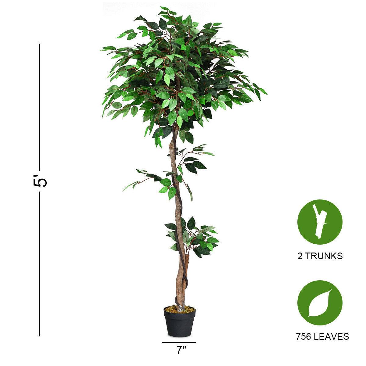 The corrected text is: "5' 2 TRUNKS 7" 756 LEAVES."
