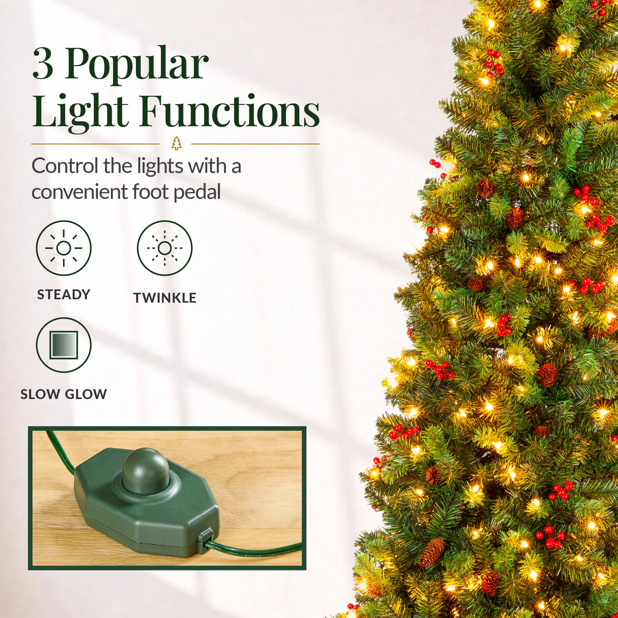 3 Popular Light Functions  
Control the lights with a convenient foot pedal  
STEADY  
TWINKLE  
SLOW GLOW