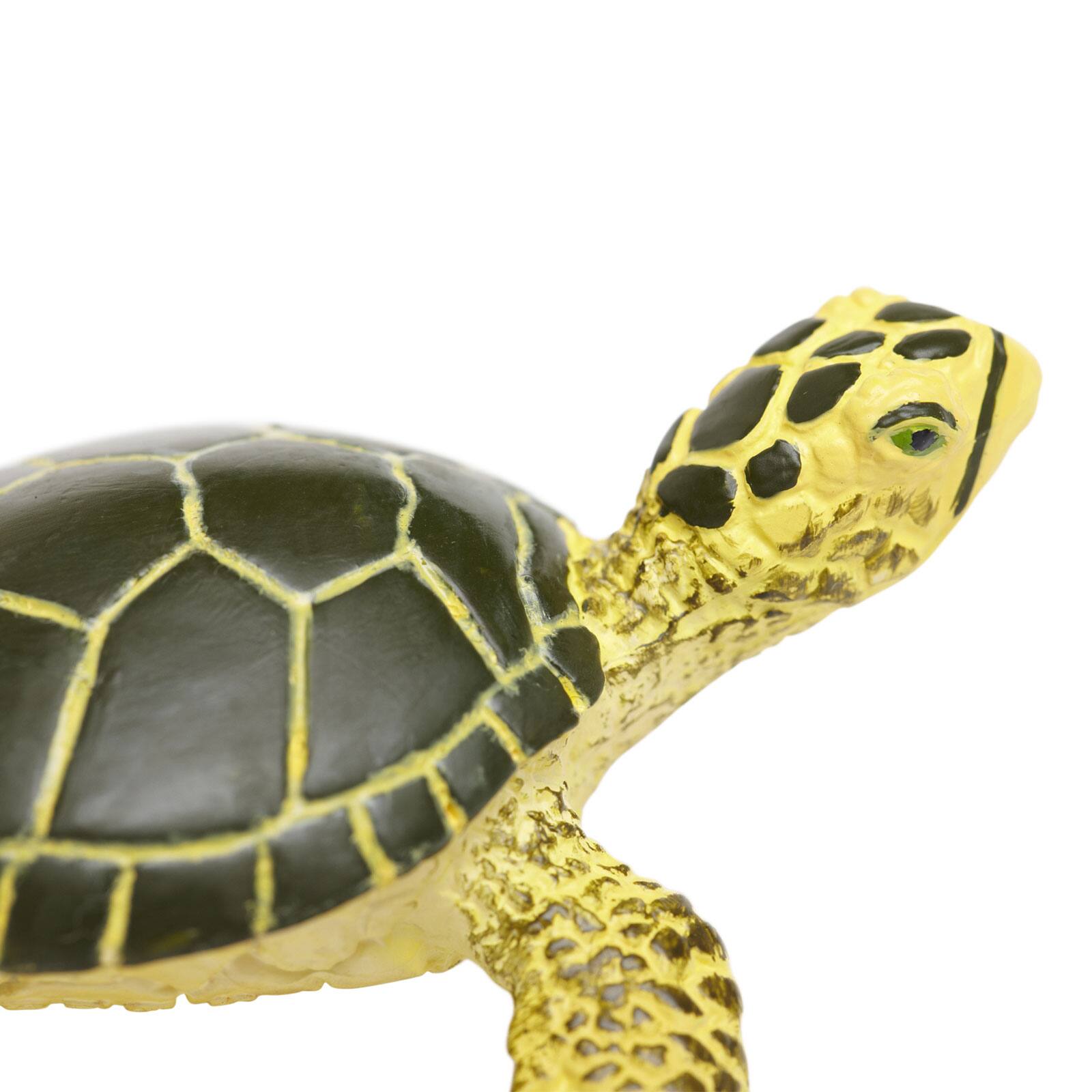 Alt View 2. Safari Ltd. - Green Sea Turtle Baby Toy Figurine.
