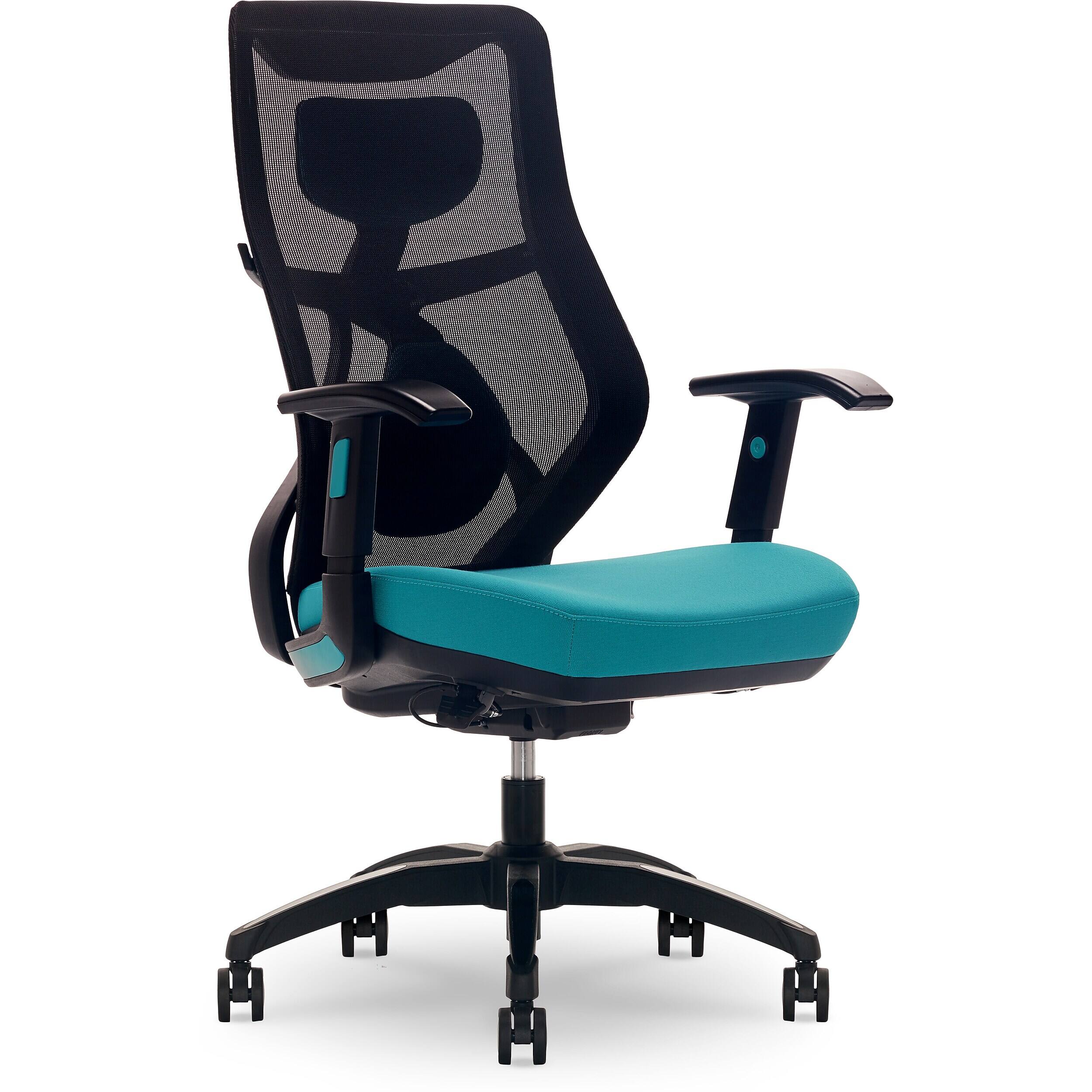 Beautyrest - Duo-EX Ergonomic Mesh Swivel Computer Chair, (60051-TEL) - Teal