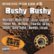 Front Standard. Bushy Bushy [LP] [PA].