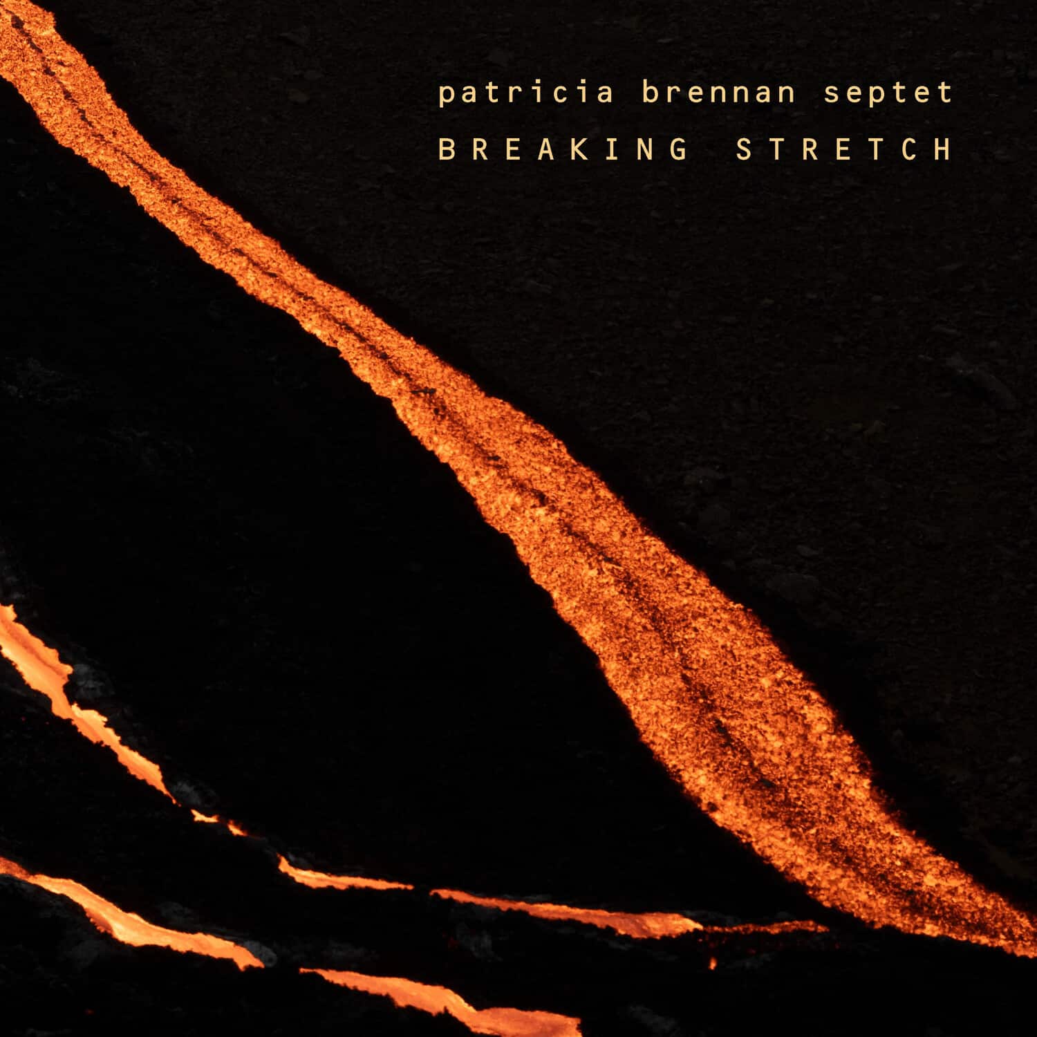 Patricia Brennan - Breaking Stretch   - COMPACT DISCS [CD] price history on PriceWatchPro