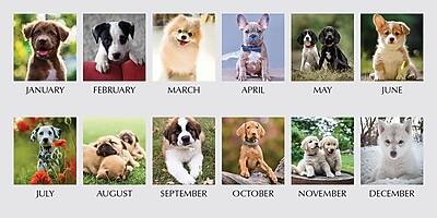 JANUARY  
FEBRUARY  
MARCH  
APRIL  
MAY  
JUNE  

JULY  
AUGUST  
SEPTEMBER  
OCTOBER  
NOVEMBER  
DECEMBER