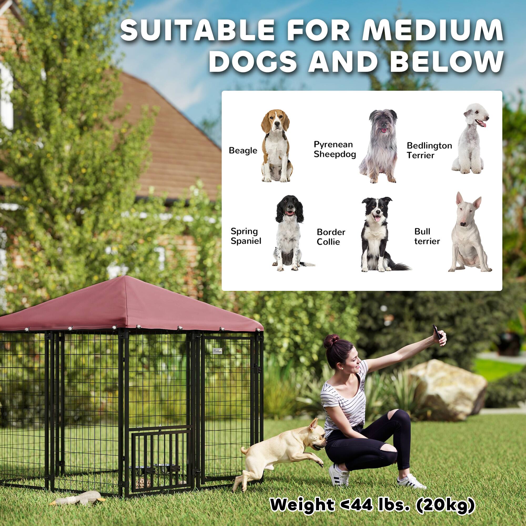 SUITABLE FOR MEDIUM DOGS AND BELOW

- Beagle
- Pyrenean Sheepdog
- Bedlington Terrier
- Spring Spaniel
- Border Collie
- Bull Terrier

Weight <44 lbs. (20kg)