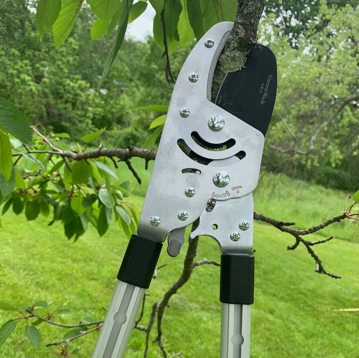 SKS Garrett Wade Wade OPEN