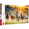 1500 Puzzle Trefl Premium Quality