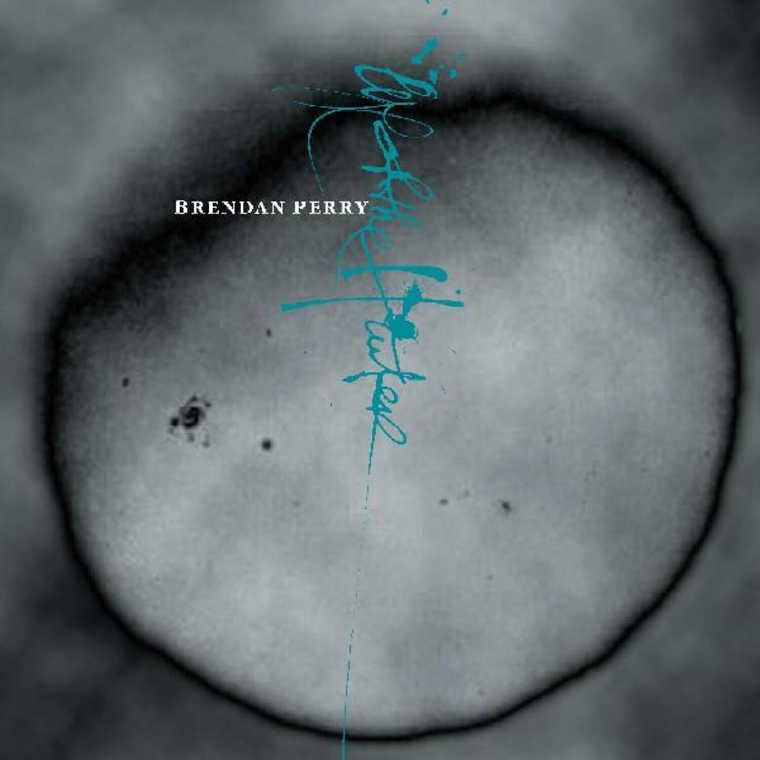 Brendan Perry - Eye Of The Hunter / Live At The I.c.a.   - VINYL LP price history on PriceWatchPro