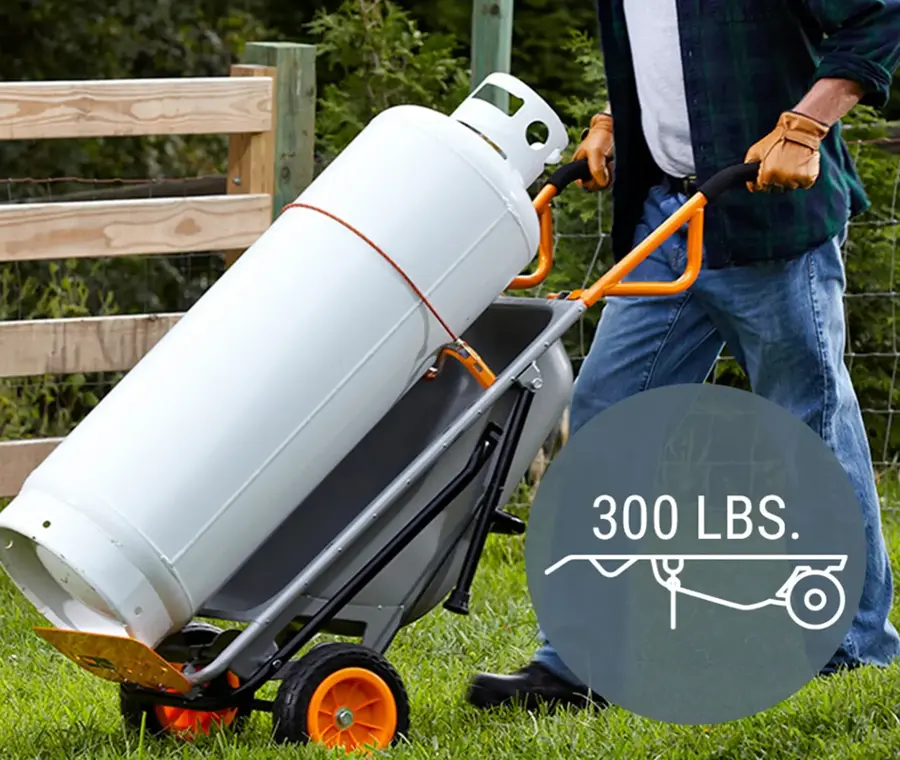 The text on the image reads "300 LBS."