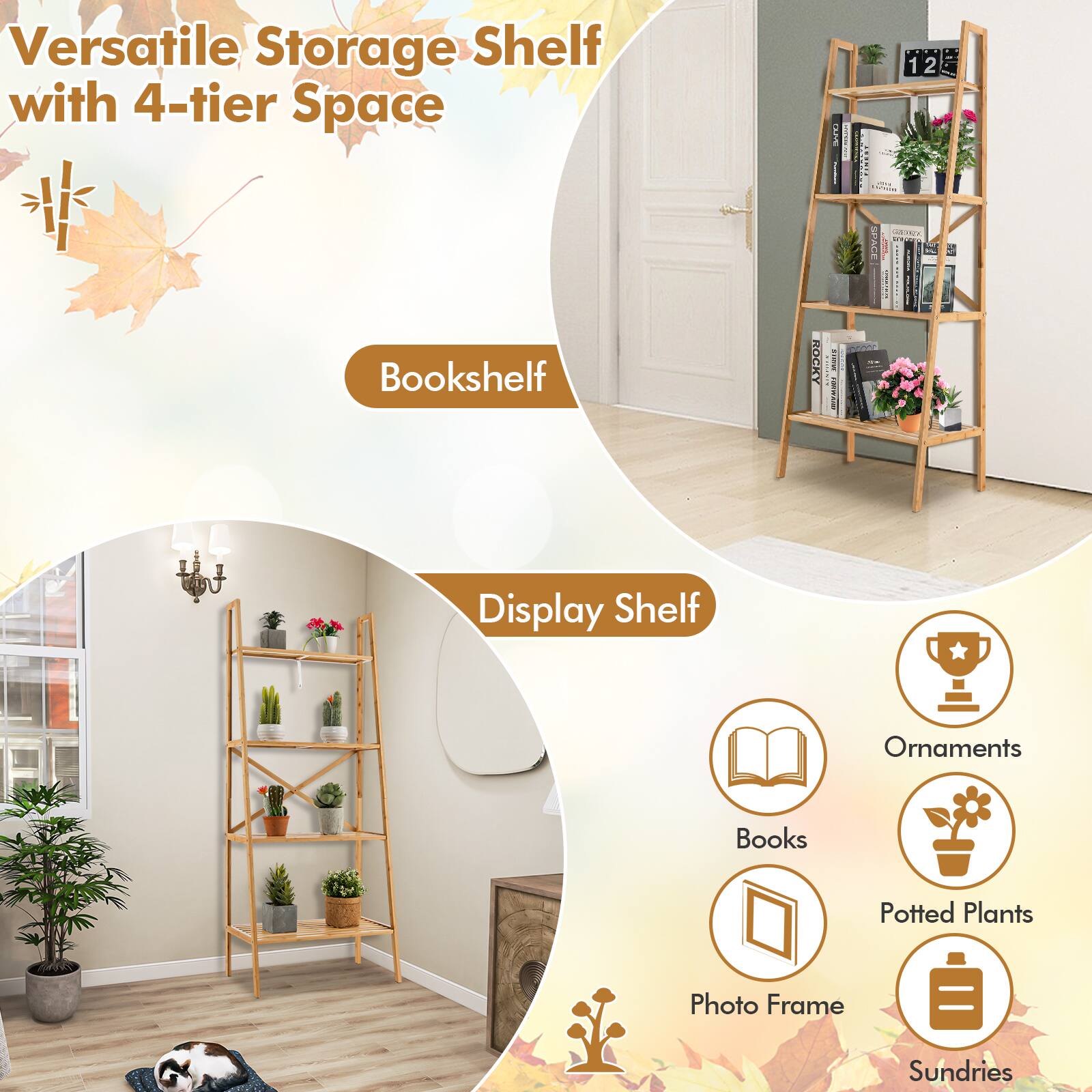 Versatile Storage Shelf with 4-tier Space DLVE I 12 2 Bookshelf ROCKY I I SPACE 1 Display Shelf Ornaments Books Potted Plants Photo Frame Sundries