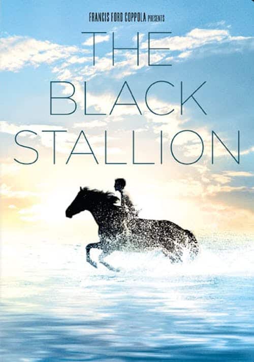 Front. The Black Stallion (DVD New Box Art) [DVD].