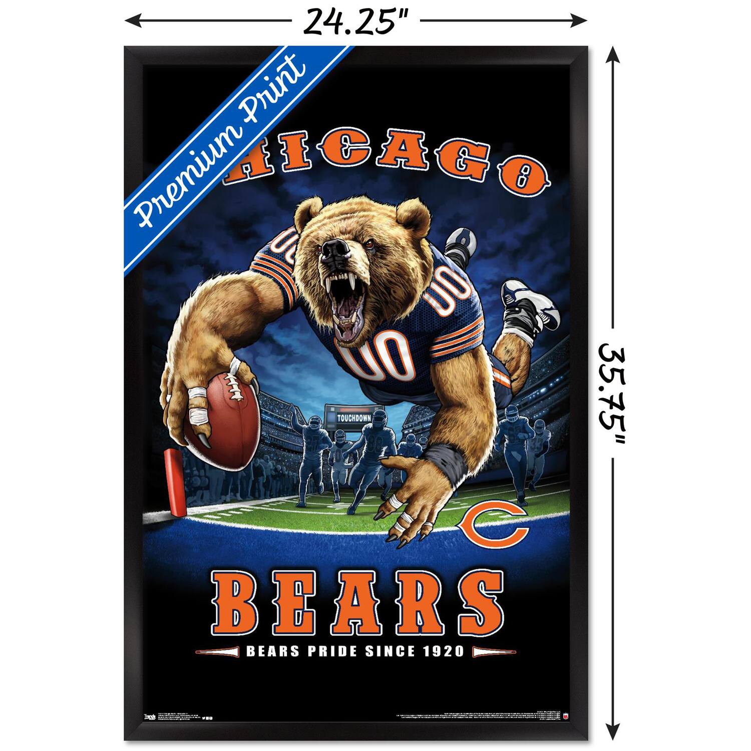 Premium Print

CHICAGO

BEARS

BEARS PRIDE SINCE 1920

24.25" x 35.75"