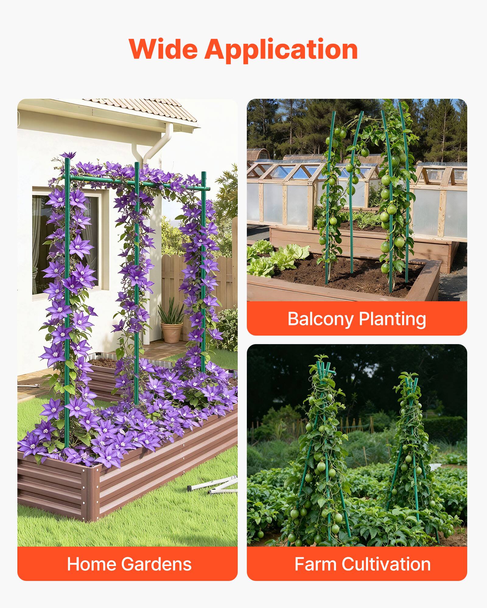 Wide Application  
Balcony Planting  
Home Gardens  
Farm Cultivation