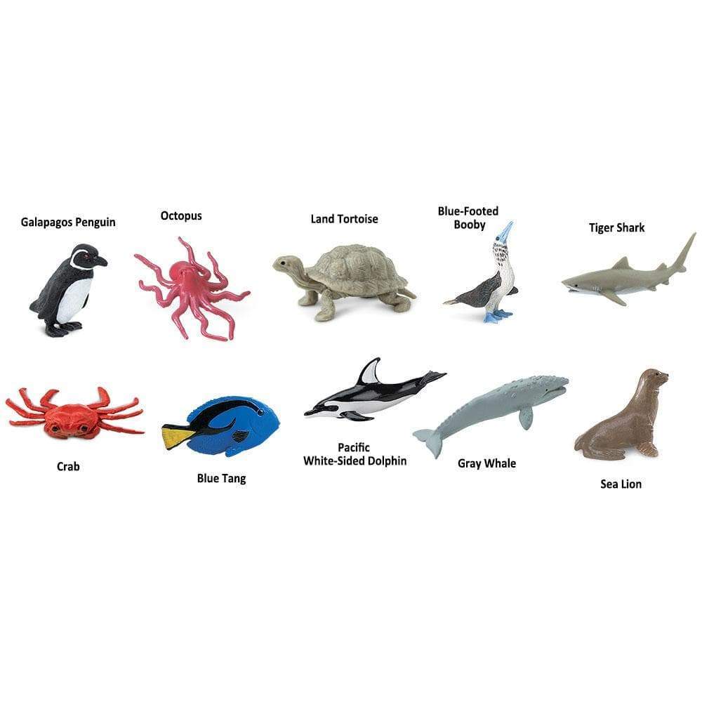 Galapagos Penguin  
Octopus  
Land Tortoise  
Blue-Footed Booby  
Tiger Shark  
Crab  
Blue Tang  
Pacific White-Sided Dolphin  
Gray Whale  
Sea Lion
