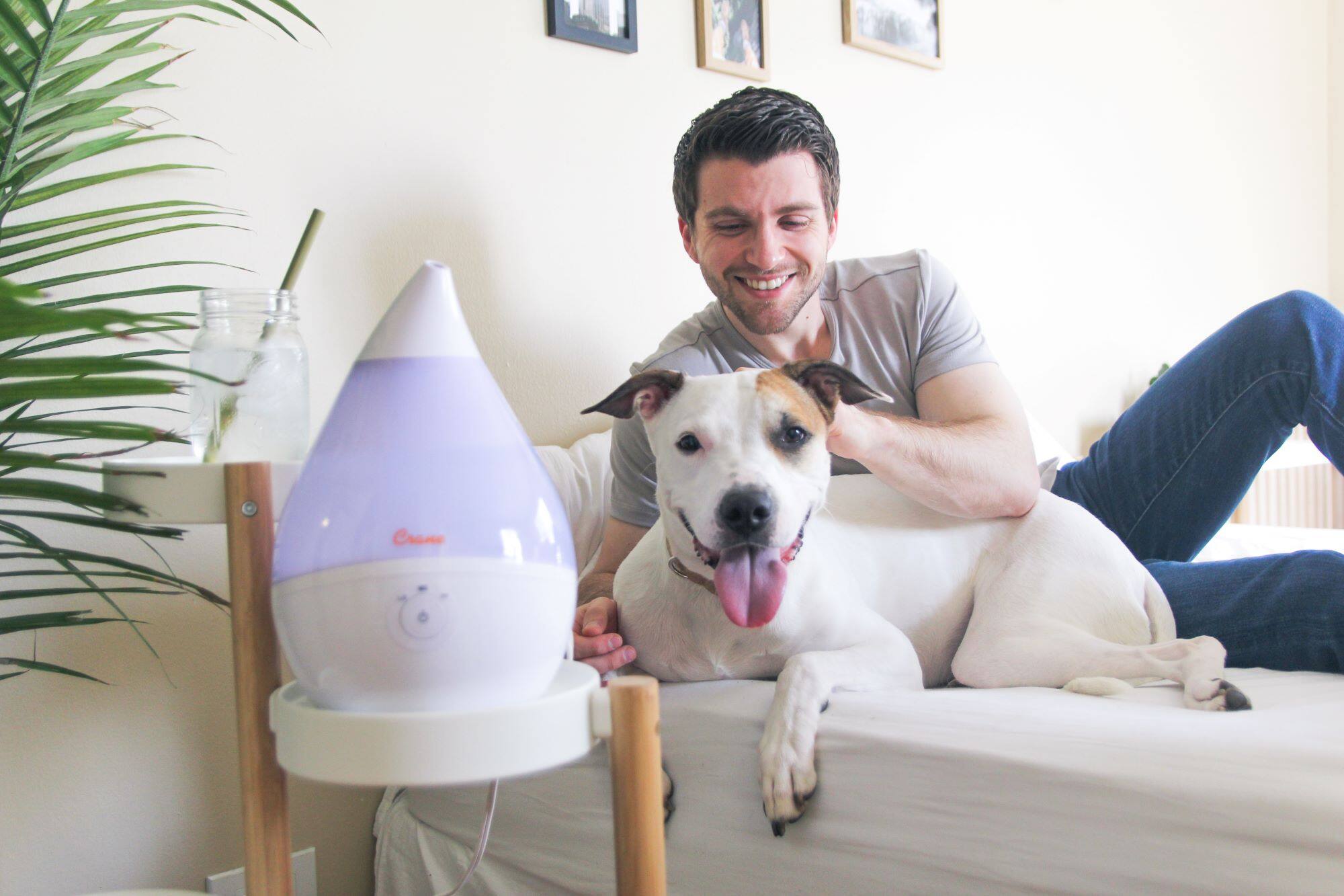 Back. CRANE - 0.5 Gal. Droplet Ultrasonic Cool Mist Humidifier - White.