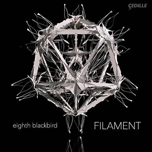 Dessner / Eighth Blackbird - Filament  - VINYL LP