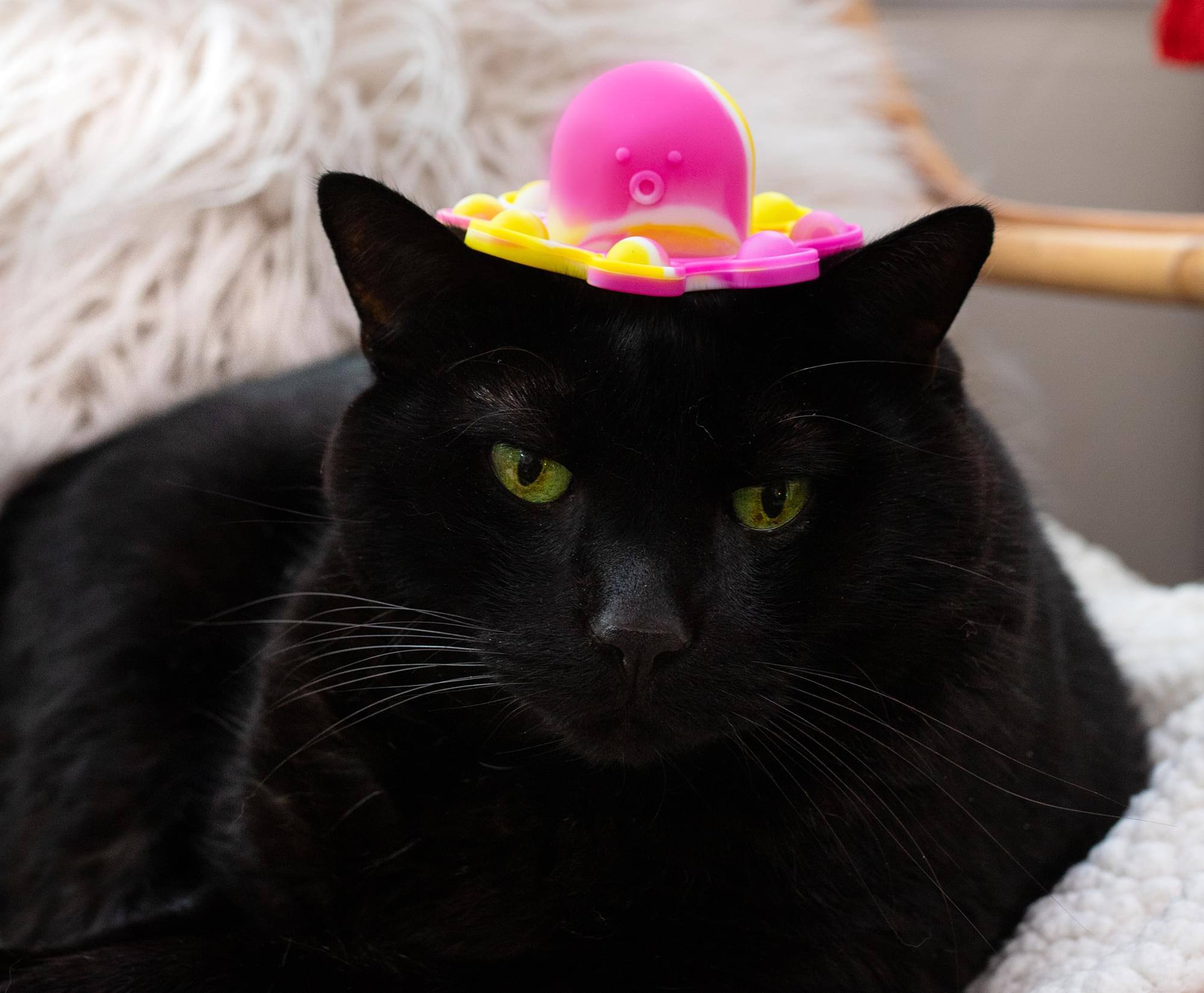 Alt View 4. Toynk - Pop Fidget Toy Yellow & Pink Octopus 8-Button Silicone Bubble Popping Game - Yellow.