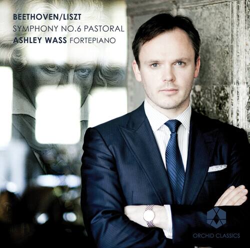 Ashley Wass - Symphony No. 6 Pastoral   - COMPACT DISCS [CD] price history on PriceWatchPro