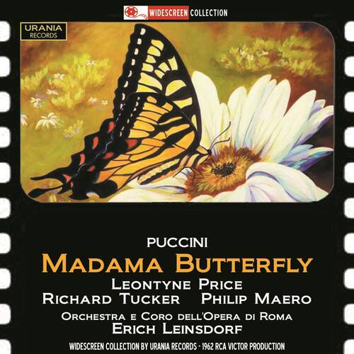 Erich Leinsdorf - Madama Butterfly   - COMPACT DISCS [CD] price history on PriceWatchPro