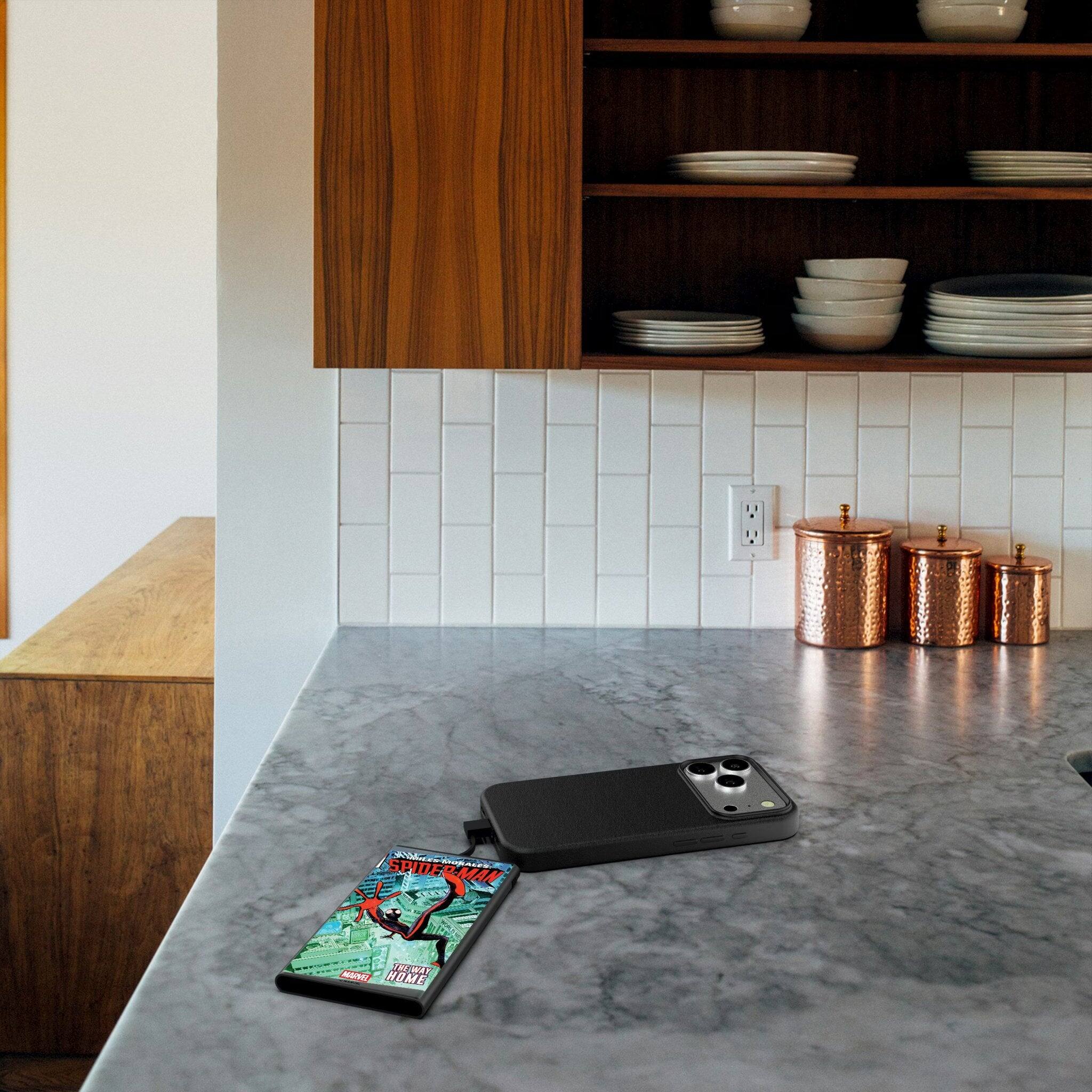 SPIDER-MAN: THE WAY HOME