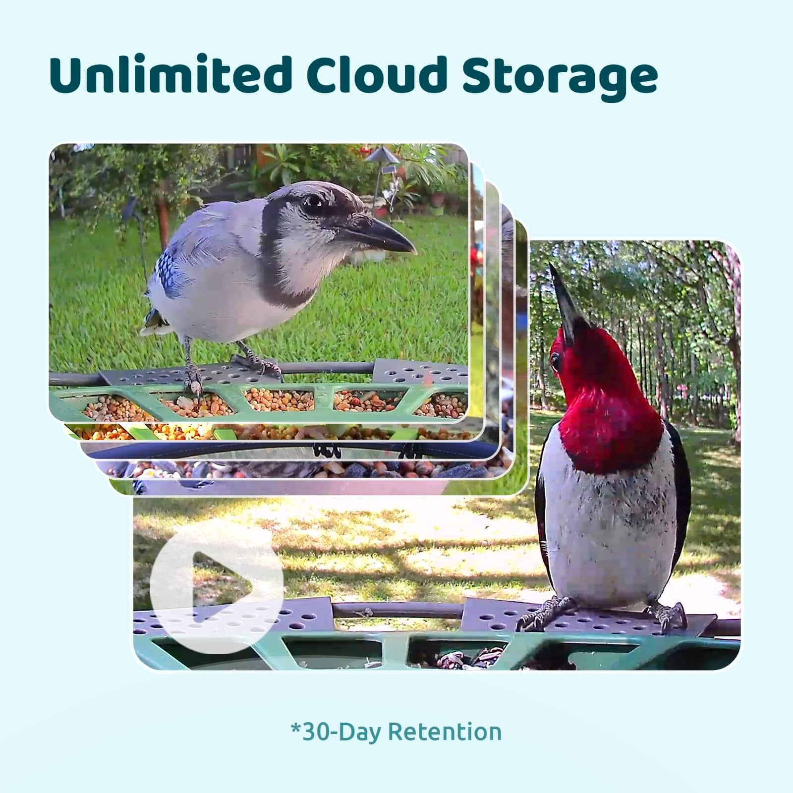 Unlimited Cloud Storage *30-Day Retention