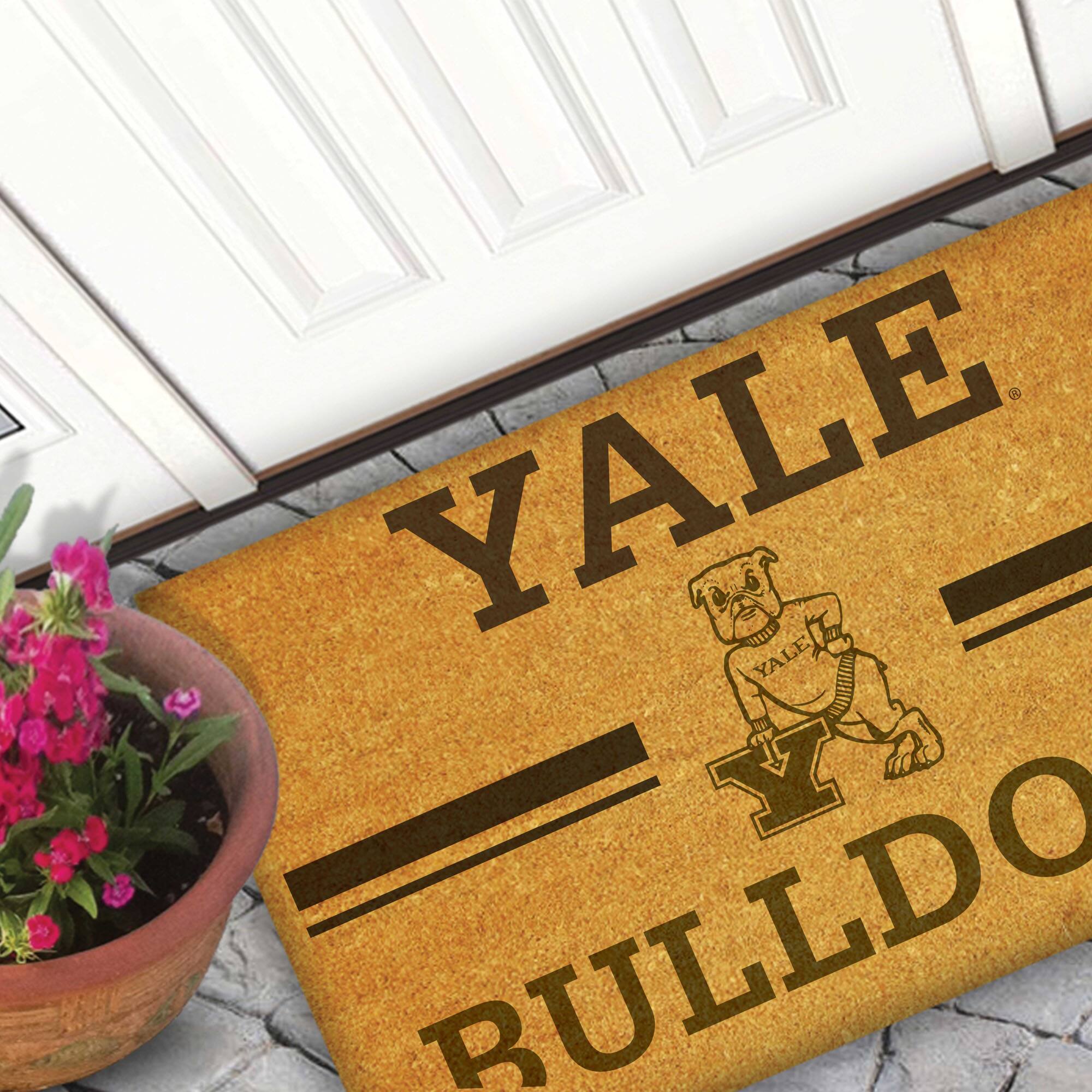 YALE  
BULLDOG