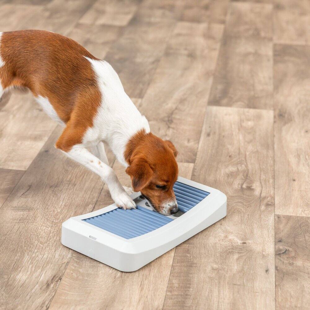 Left. TRIXIE - Dog Activity Rod Board Strategy Game, Level 1 Dog Puzzle Toy, Dog Treat Toy - Blue.