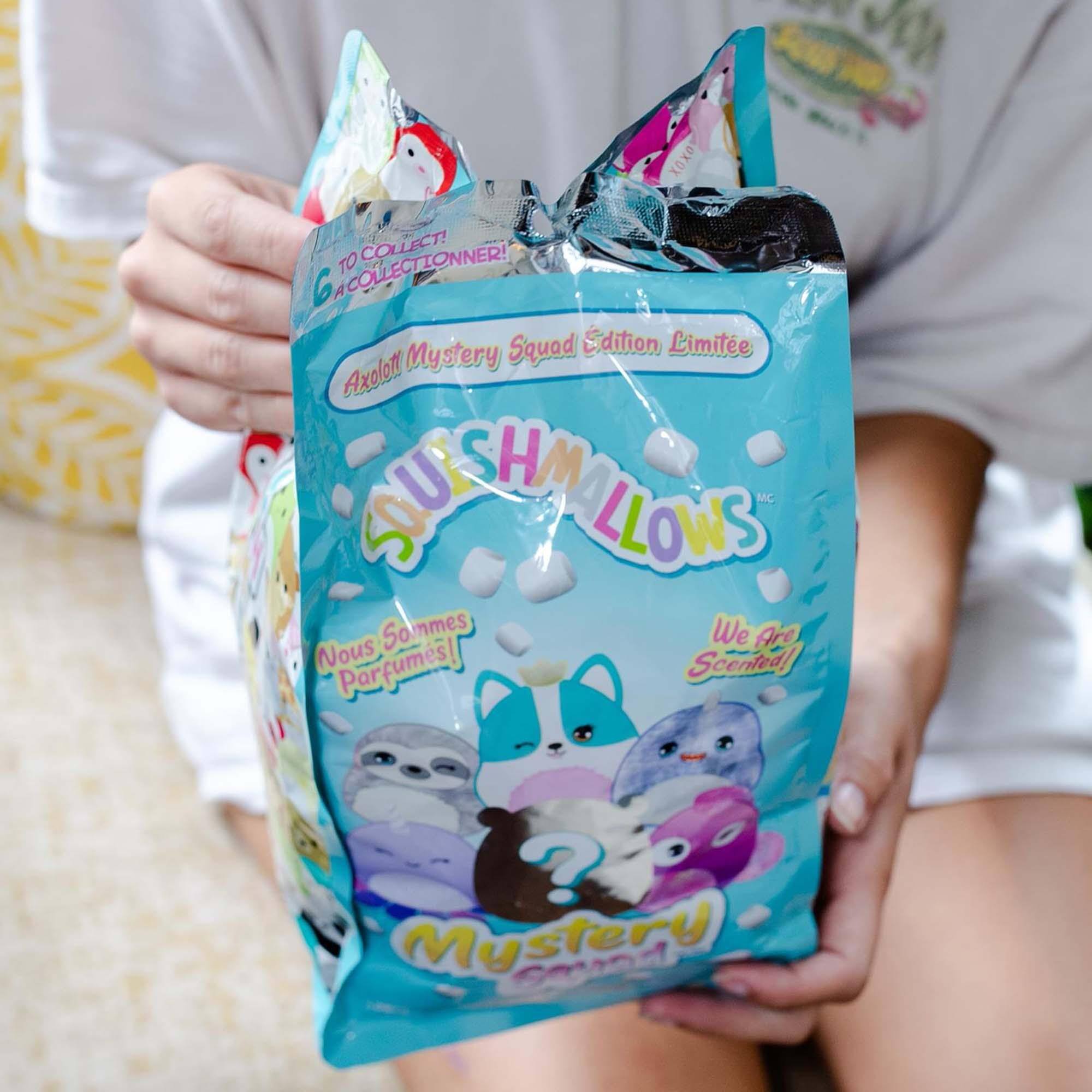 X0xO TO COLLECT! A COLLECTIONNER!  
Axolotl Mystery Squad Edition Limitée  
SUSHMALLOW  
Nous Sommes Parfumés!  
We Are Scented!  
Mystery