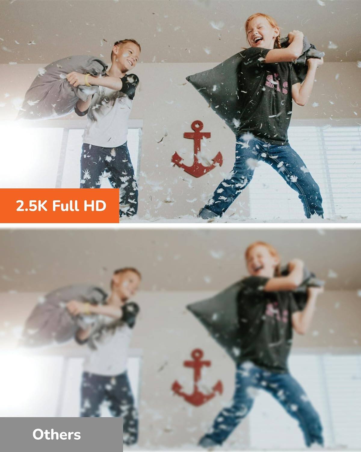 2.5K Full HD  
Others