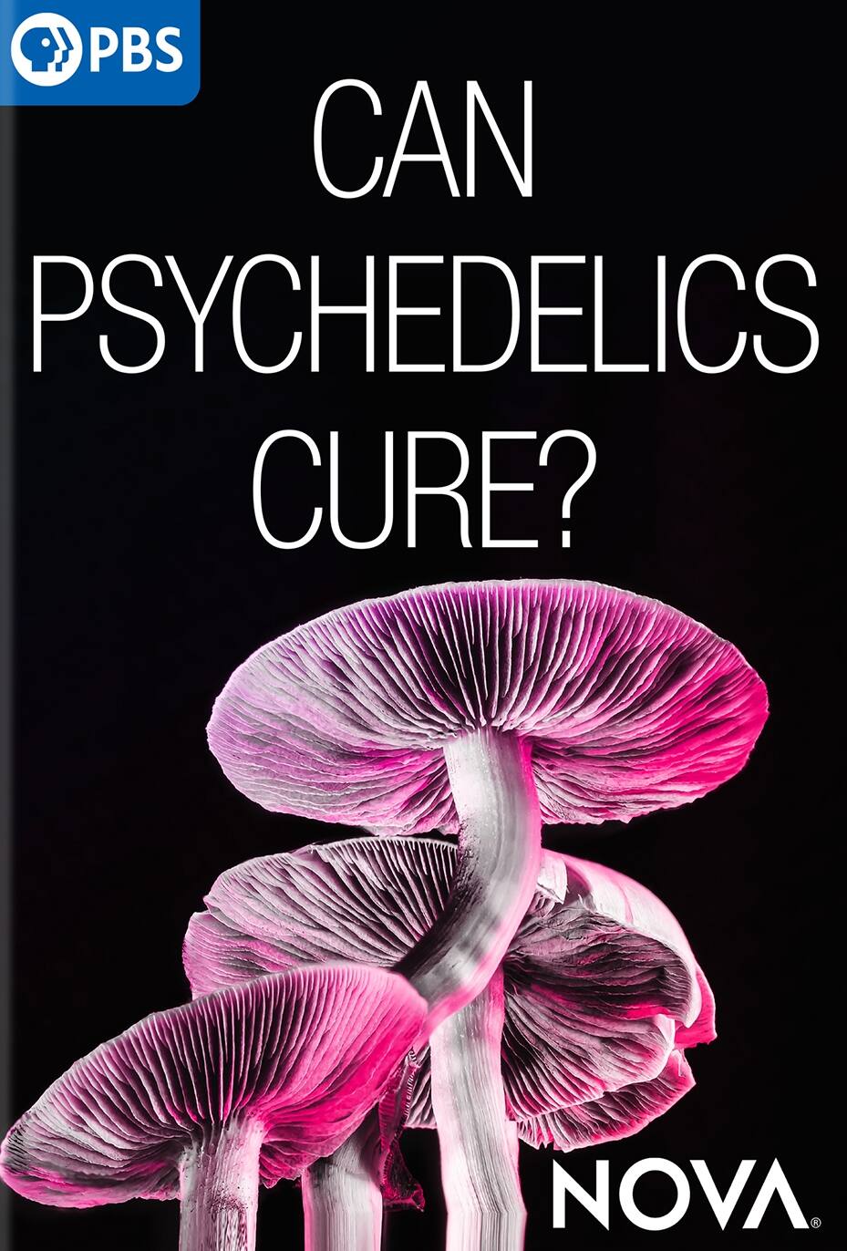 Best Buy: NOVA: Can Psychedelics Cure?