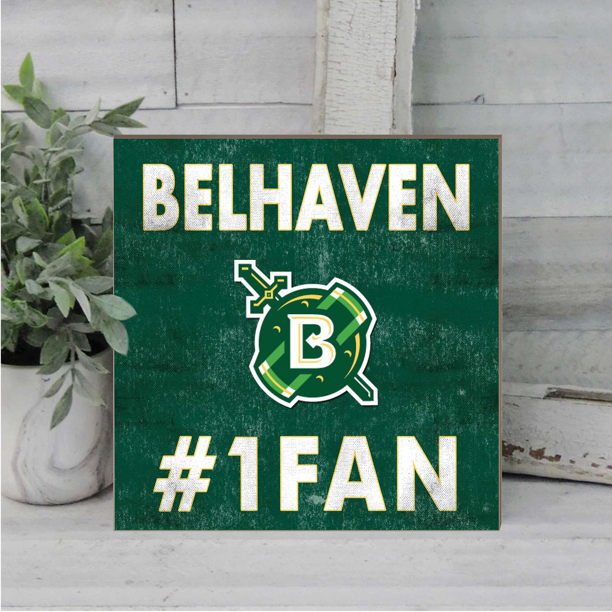 BELHAVEN  
#1 FAN