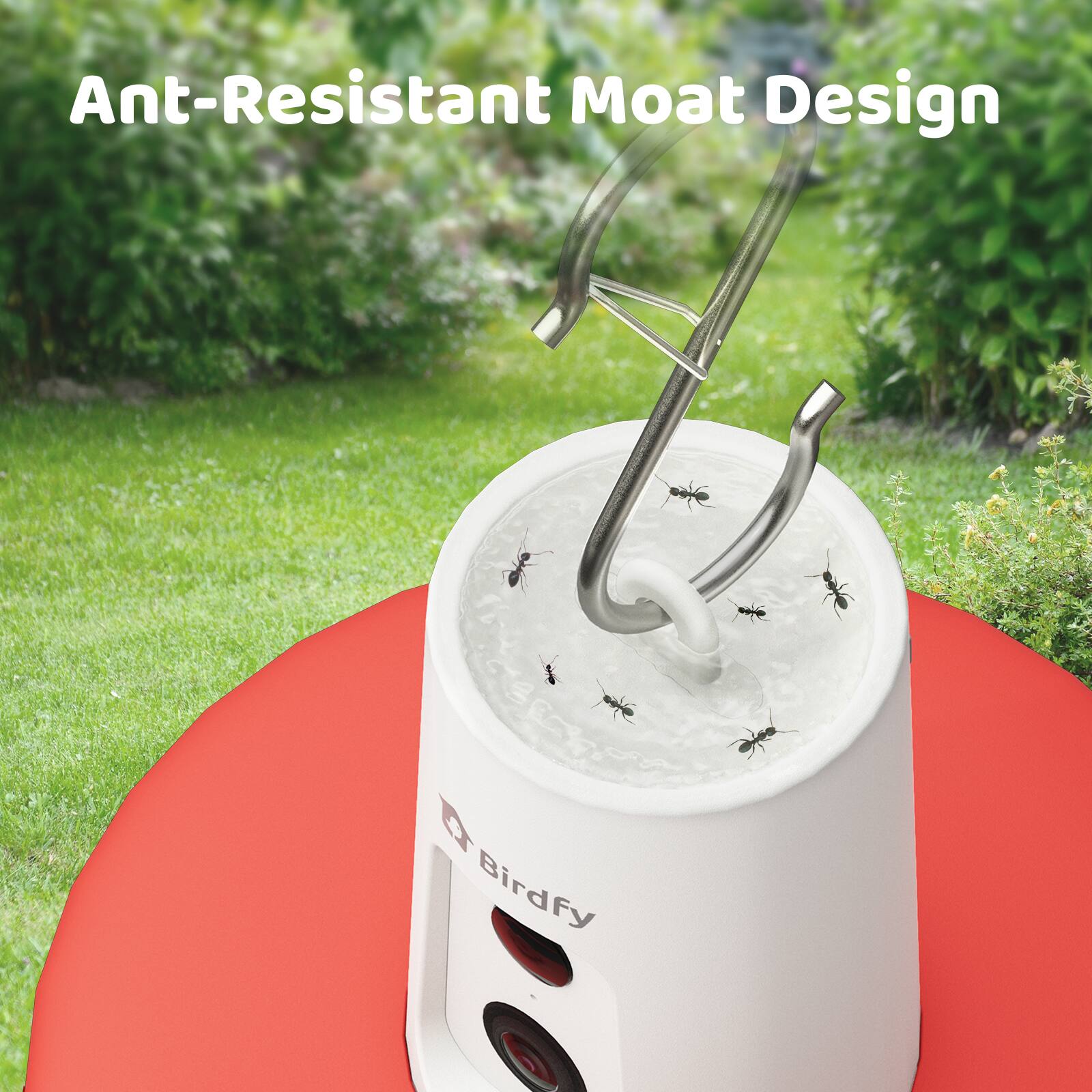 Ant-Resistant Moat Design Birdfy